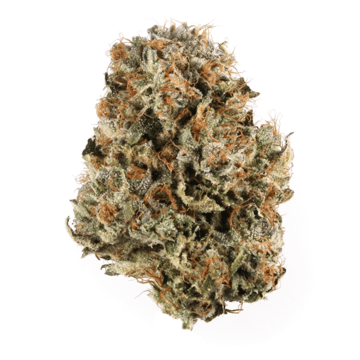 Platinum Bubba